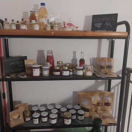 Apartamento Casa Nel Bosco, Appennino Tosco Emiliano Camugnano Exterior foto