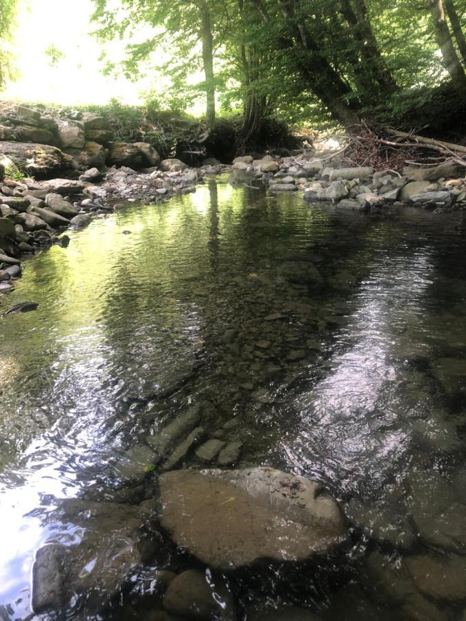 Apartamento Casa Nel Bosco, Appennino Tosco Emiliano Camugnano Exterior foto